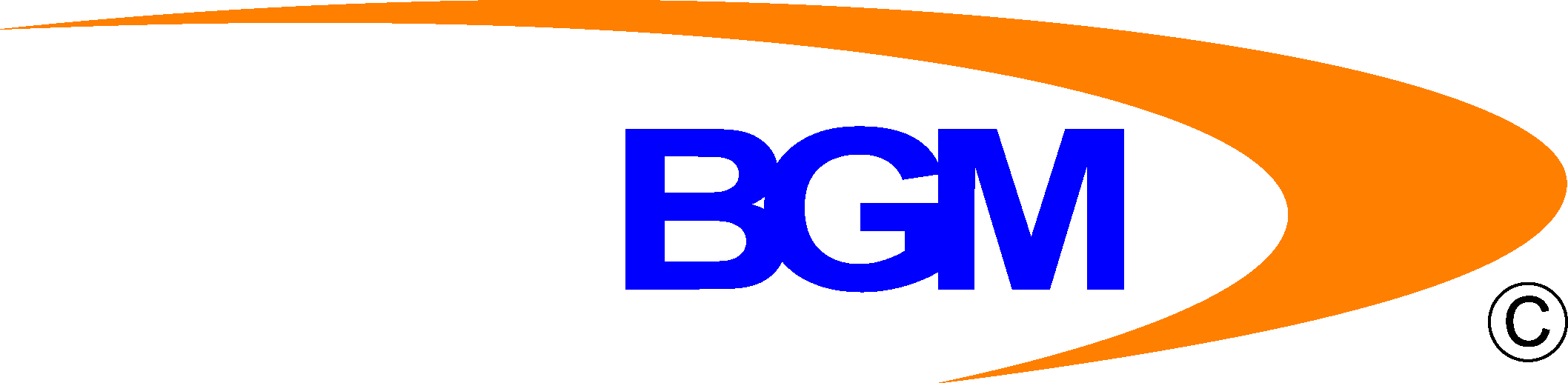 Blue Ginger Multimedia Logo.jpeg