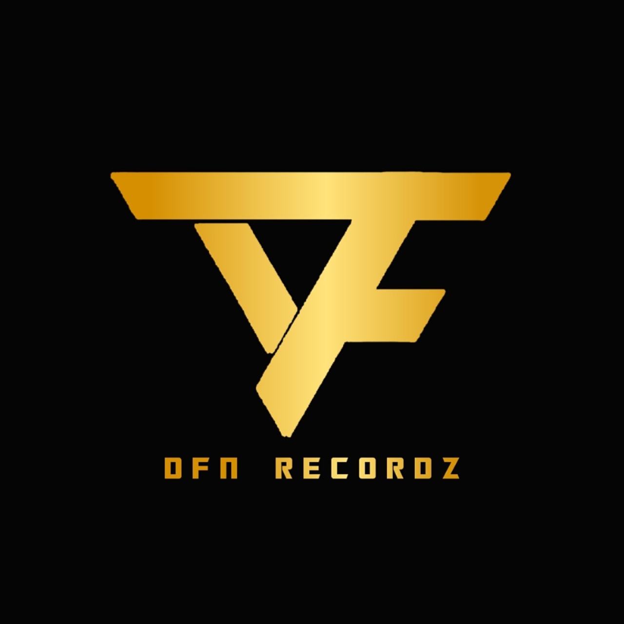 DFN Recordz Logo.jpg